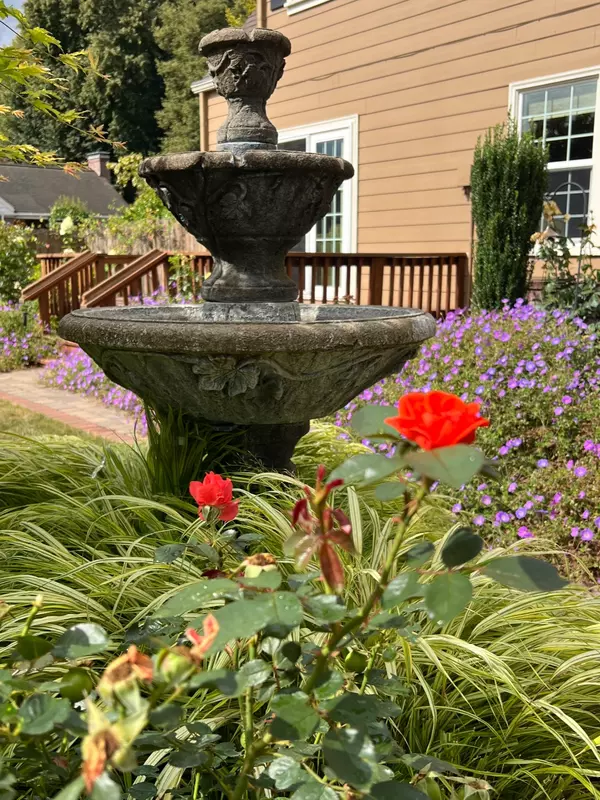 Love, Laughter, and Legacy: Nearly Two Decades in the Rooklidge Home