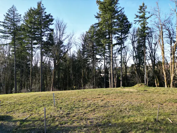 A Home Selling Experience That Goes Far Beyond the Listing in Longview, Washington,HOME REAL ESTATE Gena Graham