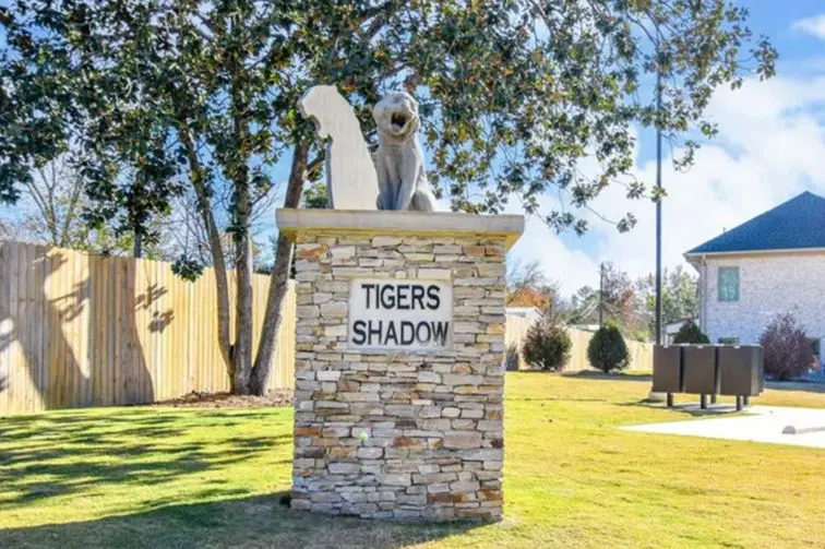 Tigers Shadow