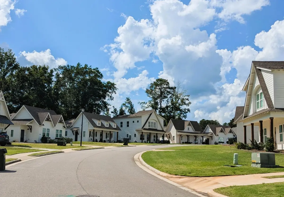 Piper Glen 2