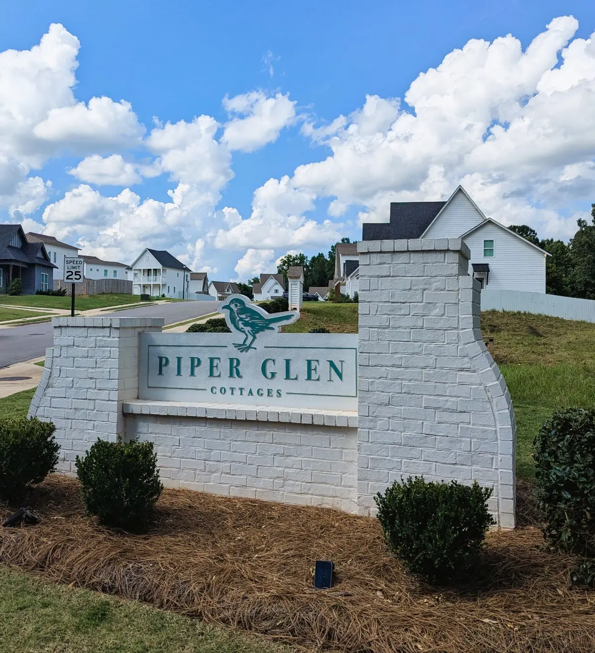 Piper Glen 1