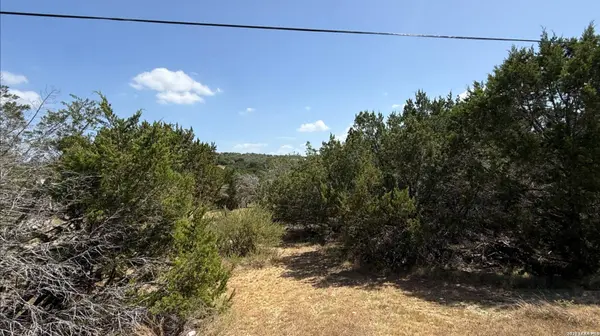 1533 DESIREE ST, Canyon Lake, TX 78133