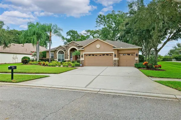 19737 PRINCE BENJAMIN DR, Lutz, FL 33549