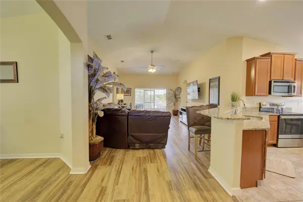 4834 HAVILLAND DR, Mount Dora, FL 32757