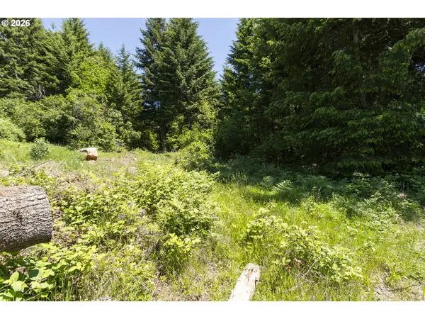 000 NE 292nd Ct, Camas, WA 98607
