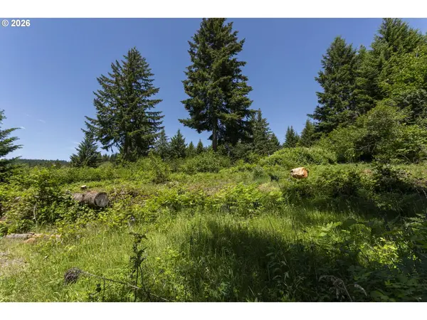 000 NE 292nd Ct, Camas, WA 98607