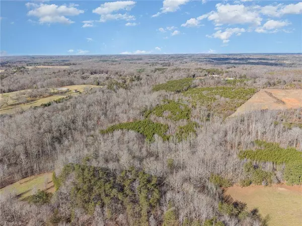 00 Chapmon RD, Reidsville, NC 27320