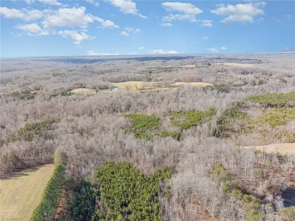 00 Chapmon RD, Reidsville, NC 27320