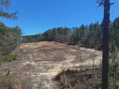 699 Crystal Springs Dr, Lexington, SC 29073-8128