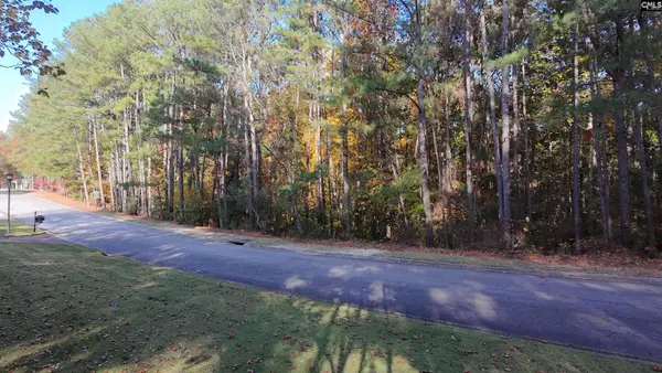 210 Stormycreek Lane, Blythewood, SC 29016