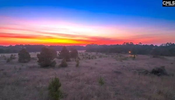 Lot 9 Athens Field Road #9, Swansea, SC 29160