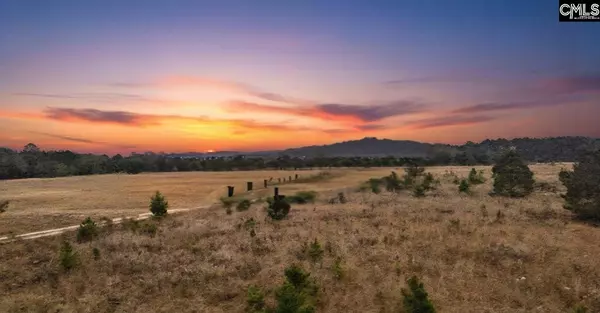 Lot 9 Athens Field Road #9, Swansea, SC 29160