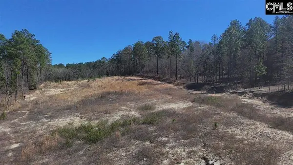 699 Crystal Springs Drive, Lexington, SC 29073