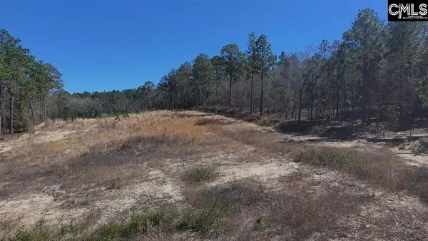 699 Crystal Springs Drive, Lexington, SC 29073