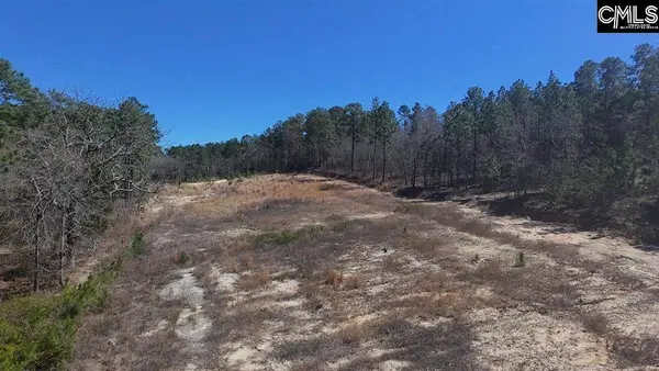 699 Crystal Springs Drive, Lexington, SC 29073