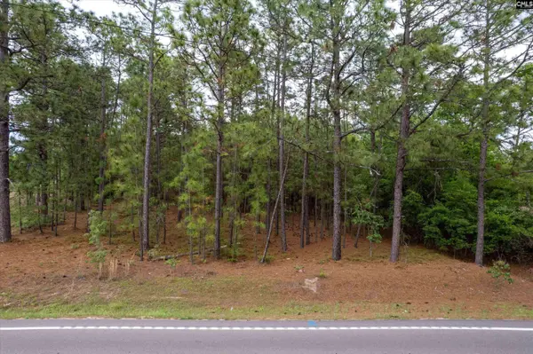 0 Pond Branch Road, Gilbert, SC 29054