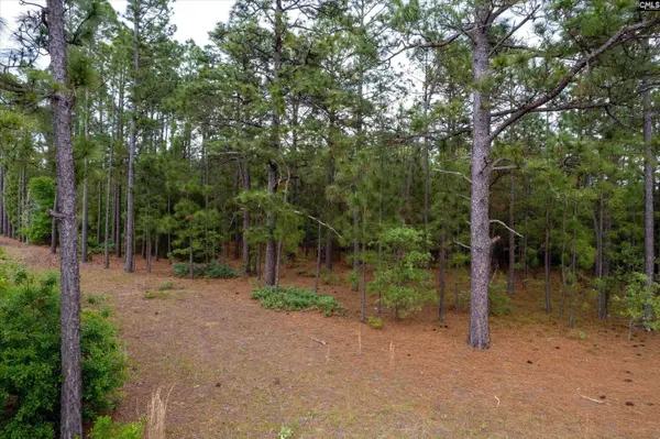 0 Pond Branch Road, Gilbert, SC 29054