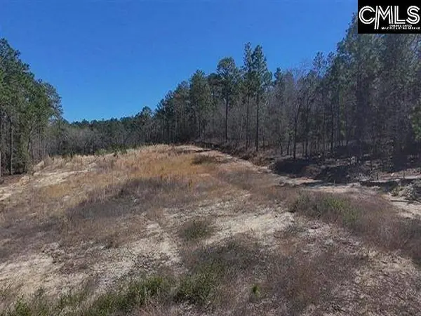 699 Crystal Springs Drive, Lexington, SC 29073