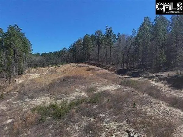 699 Crystal Springs Drive, Lexington, SC 29073