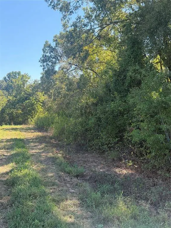 0 Hwy 71, Blanchard, LA 71107