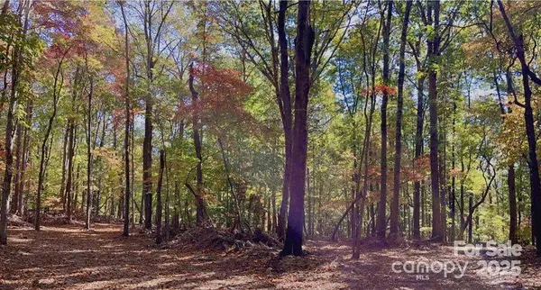 Lot 6 Flint Ridge RD #6, Albemarle, NC 28001