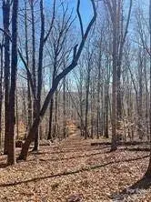 Lot 6 Flint Ridge RD #6, Albemarle, NC 28001