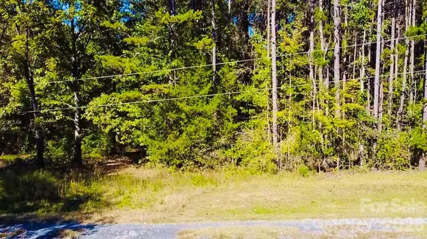 TBD Jesse Safrit RD, Salisbury, NC 28147