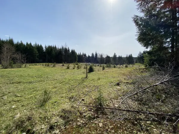 XXX 250th Ave E, Orting, WA 98360