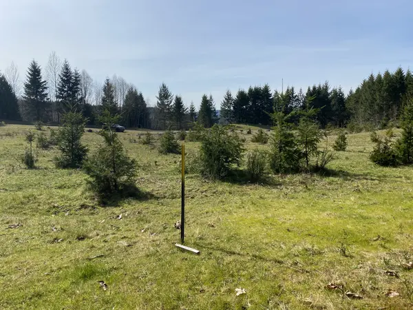 XXX 250th Ave E, Orting, WA 98360