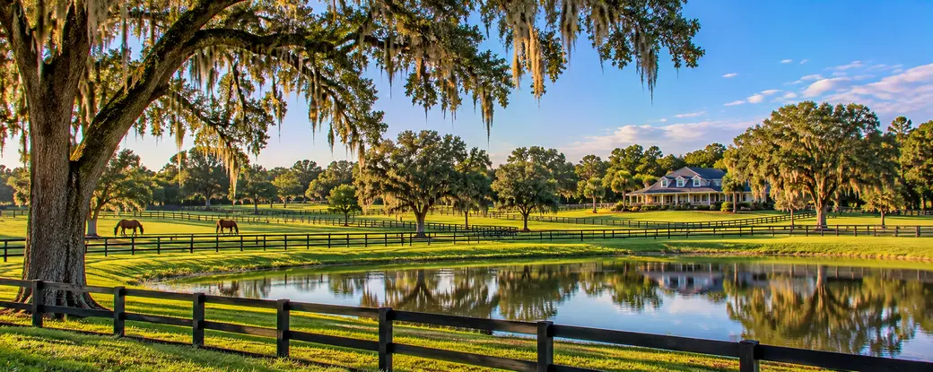Ocala Home Buyer's Guide: A to Z