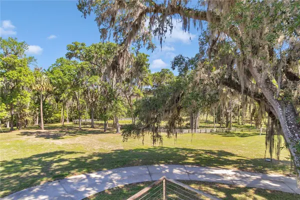 7000 NW HWY 320, Micanopy, FL 32667