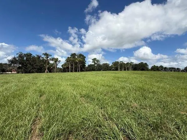TBD HWY 329, Reddick, FL 32686