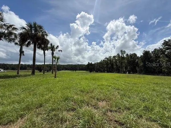 TBD HWY 329, Reddick, FL 32686