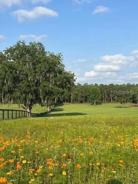 TBD HWY 329, Reddick, FL 32686