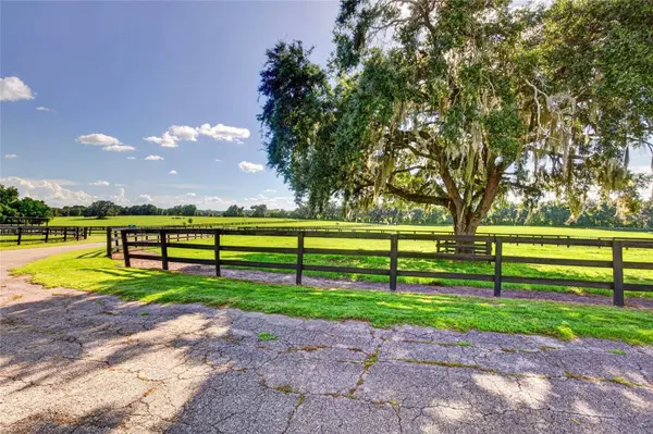 15939 NW 162ND TER, Williston, FL 32696