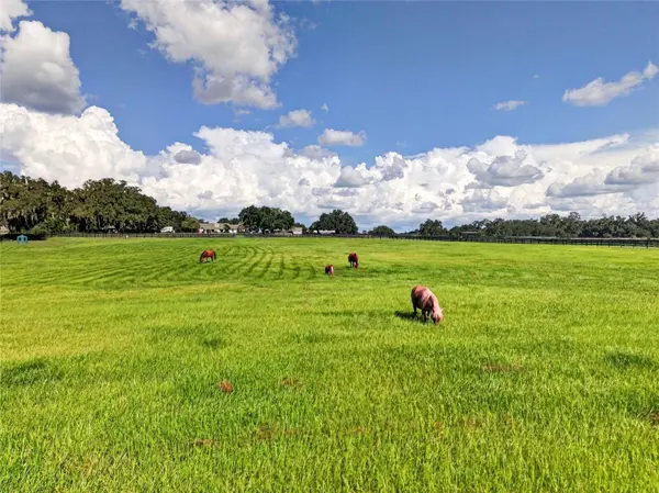 15939 NW 162ND TER, Williston, FL 32696