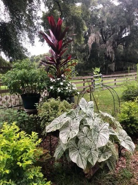 12550 SW 16TH AVE, Ocala, FL 34473