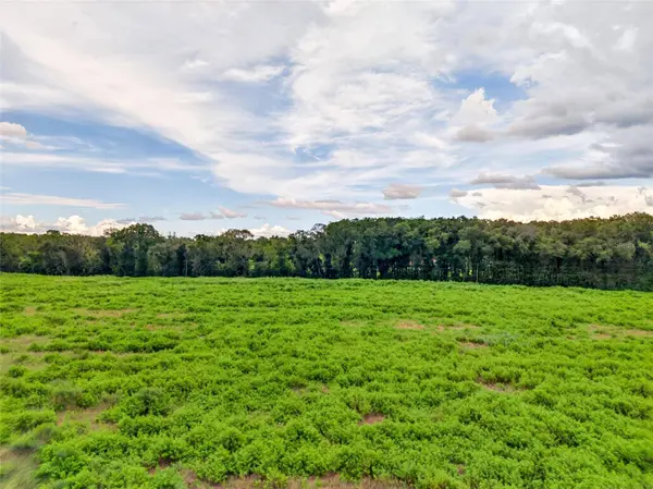 4949 NW 100TH ST, Ocala, FL 34482