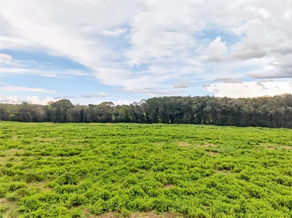 4949 NW 100TH ST, Ocala, FL 34482