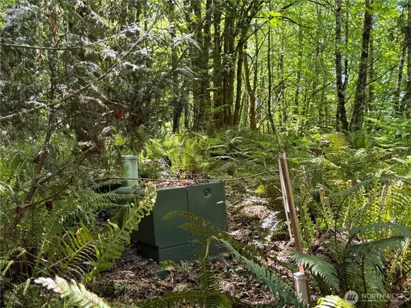 12528 114th AVE NW, Gig Harbor, WA 98329