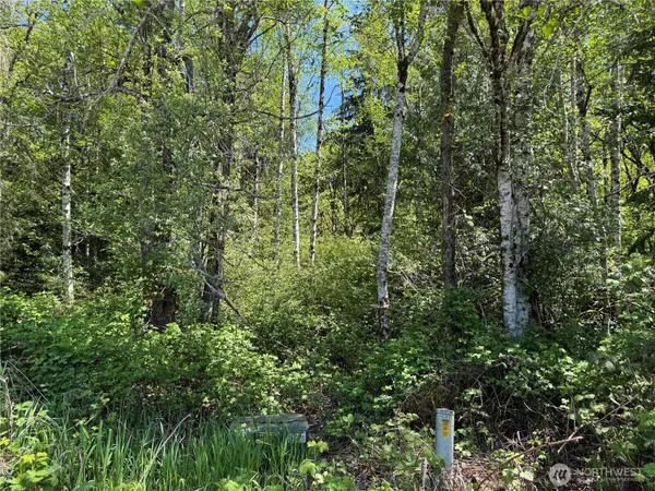 12528 114th AVE NW, Gig Harbor, WA 98329