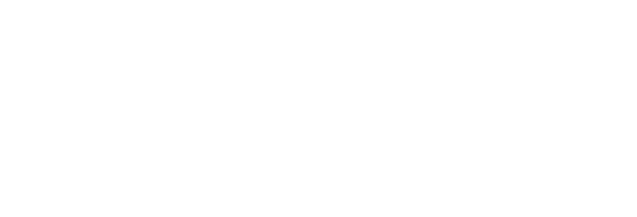 Real Broker LLC