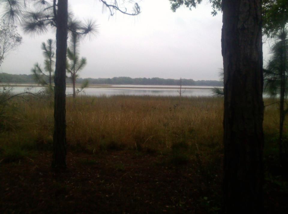 Odessa, FL Homes for Sale photo
