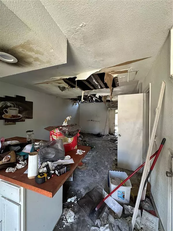 4010 CEDARLIMB CT, Tampa, FL 33614