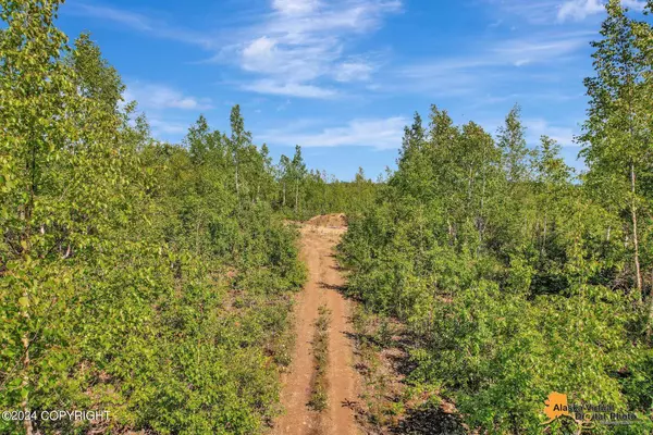 1540 S Wolf RD, Big Lake, AK 99652