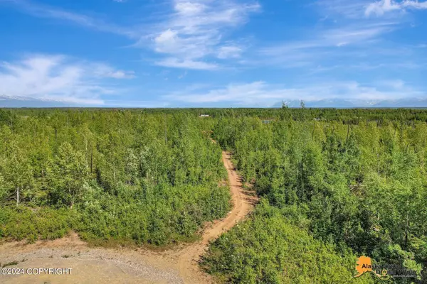 1540 S Wolf RD, Big Lake, AK 99652