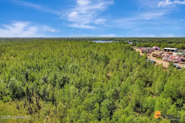 1540 S Wolf RD, Big Lake, AK 99652