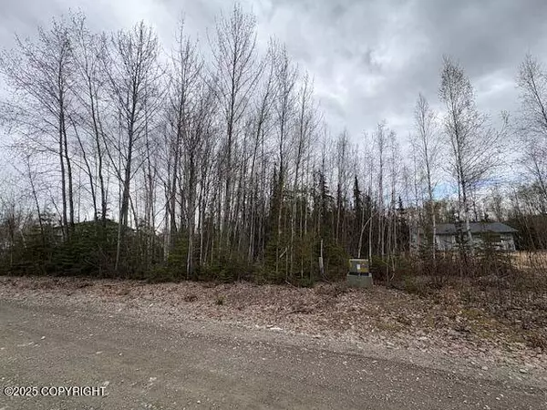 3341 S Medora Cross ST, Big Lake, AK 99652
