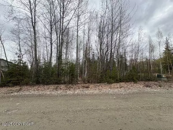 3341 S Medora Cross ST, Big Lake, AK 99652