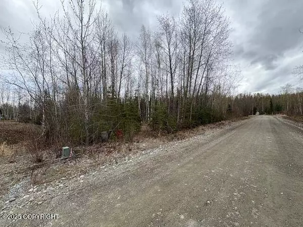 3341 S Medora Cross ST, Big Lake, AK 99652